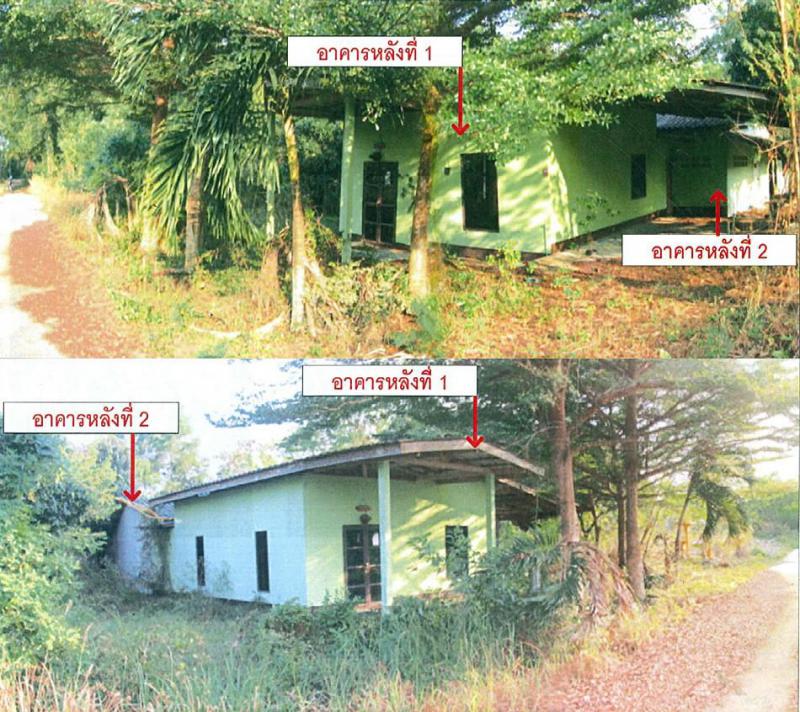 บ้านเดี่ยวหลุดจำนอง ธ.ธนาคารอาคารสงเคราะห์ ระยอง เมืองระยอง -