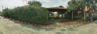 บ้านเดี่ยวหลุดจำนอง ธ.ธนาคารอาคารสงเคราะห์ ระยอง นิคมพัฒนา นิคมพัฒนา